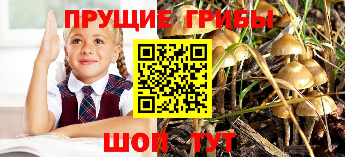 Псилоцибиновые грибы мухоморы Ефремов
