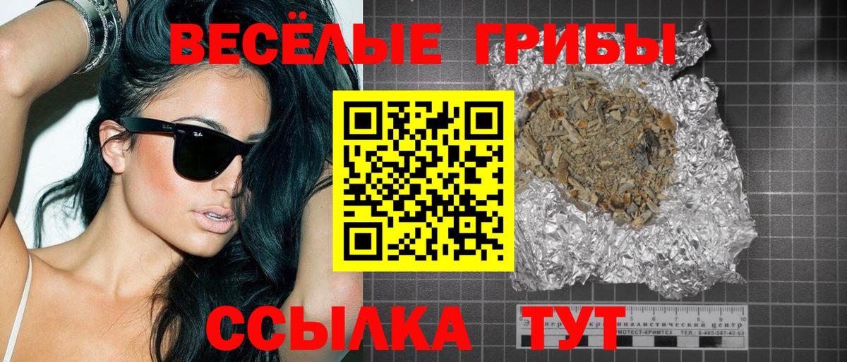 Ефремов  Галлюциногенные грибы Psilocybe  Вход с VPN 
